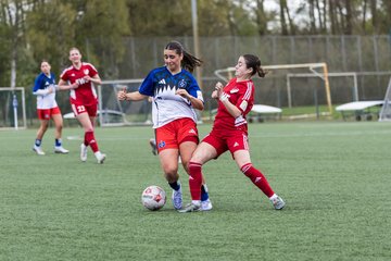 Bild 254 - F Hamburger SV 2 - SpVg Aurich : Ergebnis: 1:1